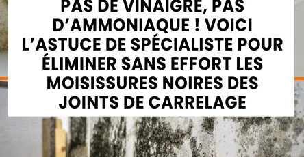 Ni vinaigre ni ammoniaque voici lastuce des experts pour eliminer sans effort les moisissures noires des joints de carrelage.jpg