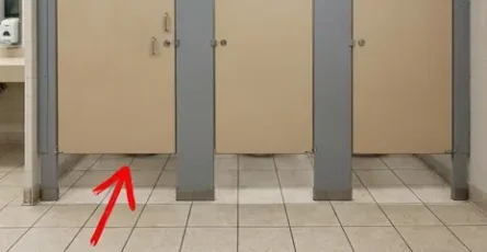 Pourquoi les portes des toilettes publiques ne touchent elles pas le sol.jpg