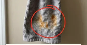 Pourquoi mes serviettes deviennent elles mysterieusement orange meme les neuves.jpg