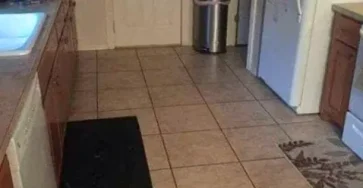 Pouvez vous reperer le gros chien cache dans cette cuisine.jpg