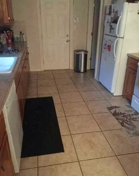 Pouvez vous reperer le gros chien cache dans cette cuisine.jpg