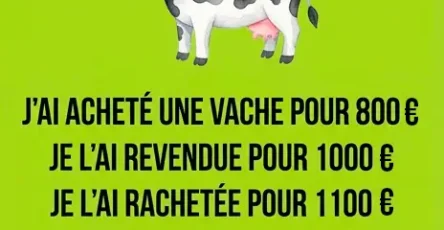 Probleme vache et nombres.jpg