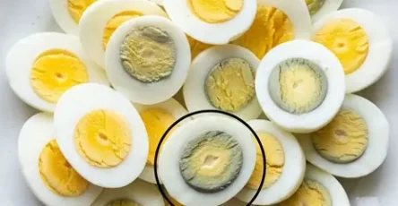 Que signifie le cercle vert autour des oeufs.jpg