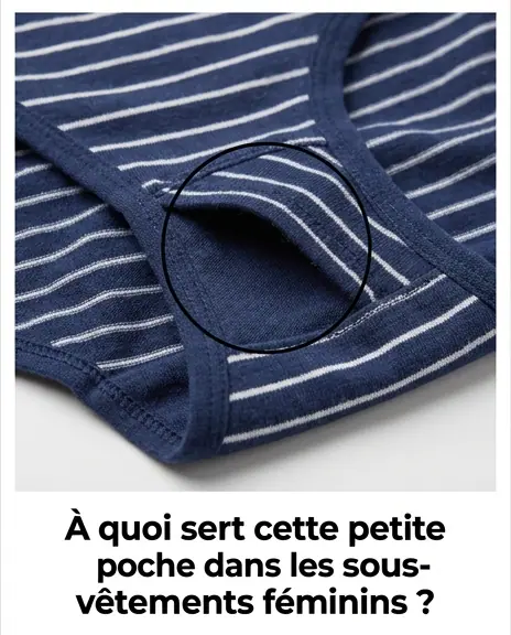 Quest ce que cette petite poche dans les sous vetements feminins.jpg