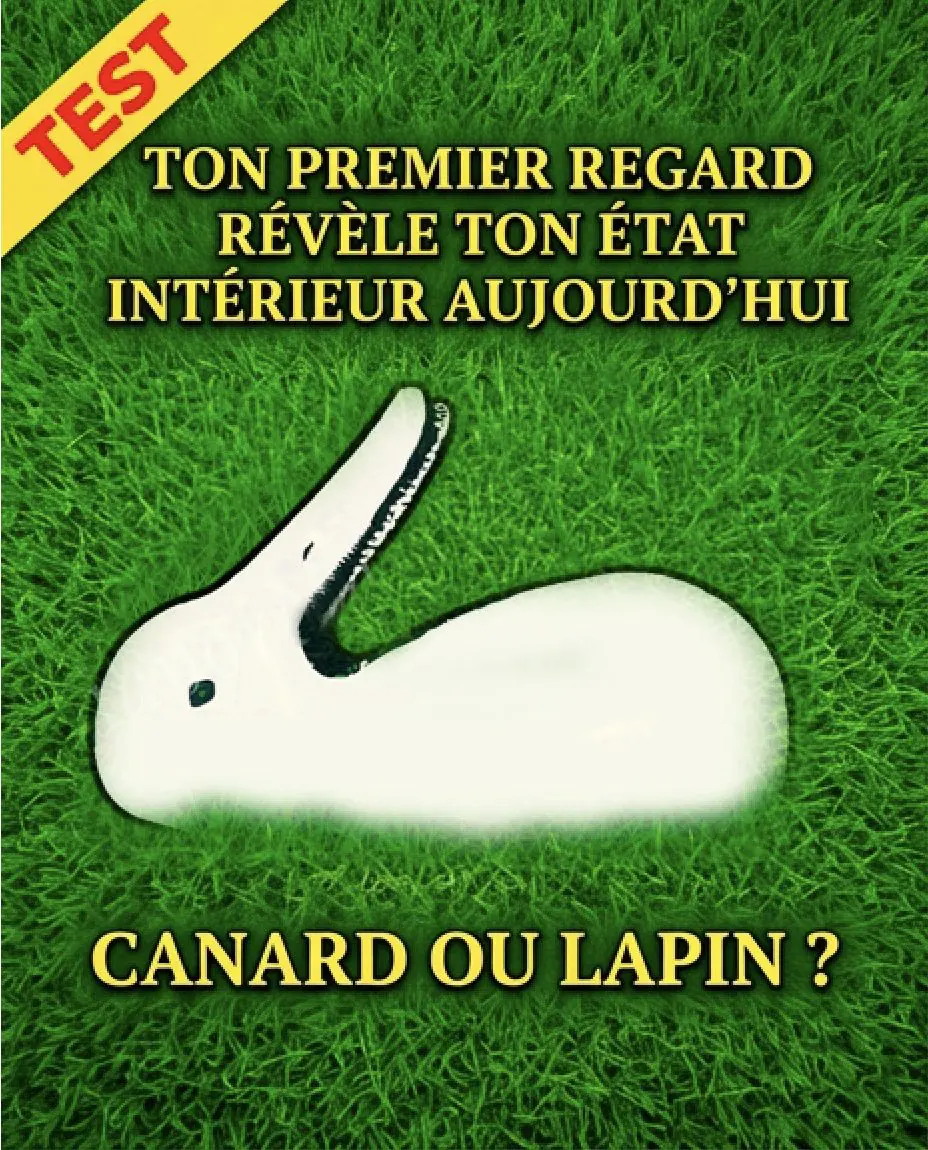 Test canard ou lapin ce que vous voyez en premier revele votre personnalite.jpg