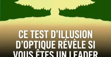 Un test dillusion doptique permet de determiner si vous etes plutot un leader ou un suiveur.jpg