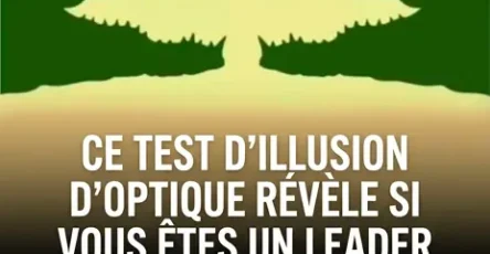 Un test dillusion doptique permet de determiner si vous etes plutot un leader ou un suiveur.jpg