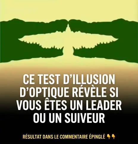 Un test dillusion doptique permet de determiner si vous etes plutot un leader ou un suiveur.jpg