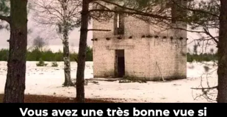 Vous avez une tres bonne vue si vous pouvez reperer un tireur delite mortel sur une photo.jpg