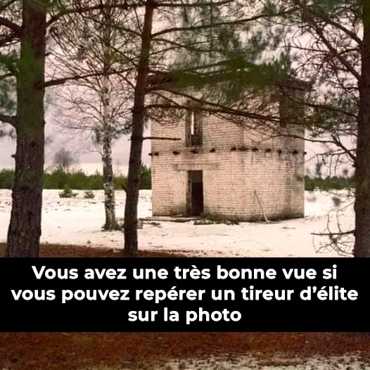 Vous avez une tres bonne vue si vous pouvez reperer un tireur delite mortel sur une photo.jpg