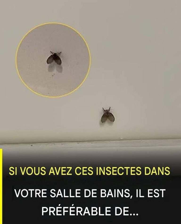 IMG 20260520 WA0015 768x950