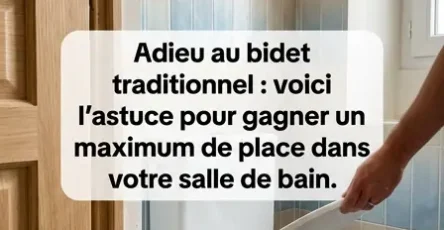 Dites adieu au bidet classique il existe aujourdhui une alternative qui permet de gagner beaucoup de place dans la salle de bains.jpg