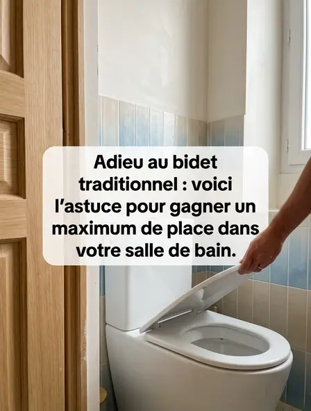 Dites adieu au bidet classique il existe aujourdhui une alternative qui permet de gagner beaucoup de place dans la salle de bains.jpg