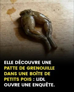 Je narrive plus a manger elle decouvre une patte de grenouille dans une boite de petits pois.jpg