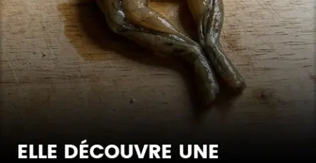 Je narrive plus a manger elle decouvre une patte de grenouille dans une boite de petits pois.jpg