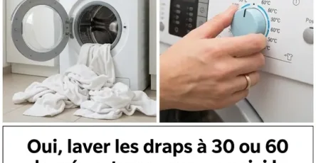 Oui laver les draps a 30 et 60 degres est une erreur voici la temperature correcte.jpg
