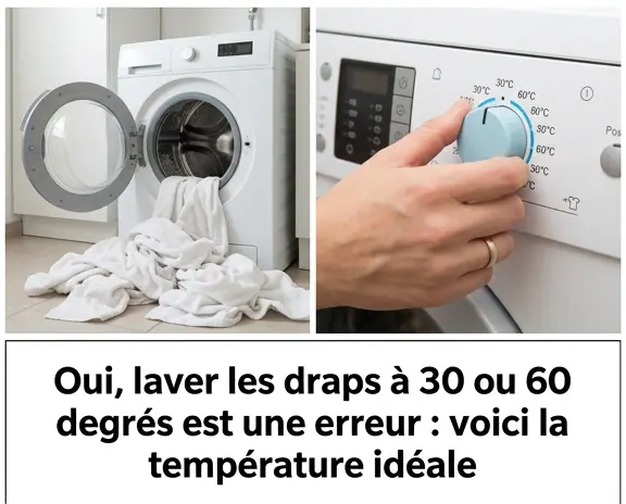 Oui laver les draps a 30 et 60 degres est une erreur voici la temperature correcte.jpg