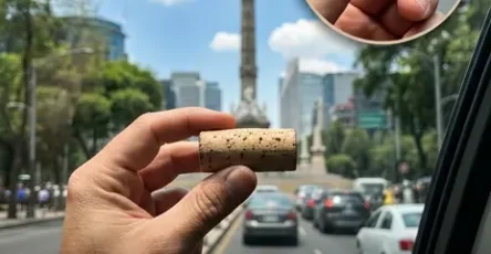 Pourquoi devriez vous toujours avoir un bouchon de liege dans votre voiture.jpg