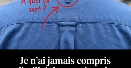 Pourquoi les chemises a boutons ont elles des passants dans le dos.jpg