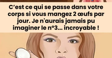 Que se passe t il dans le corps si vous mangez deux oeufs par jour 878x1024.jpg