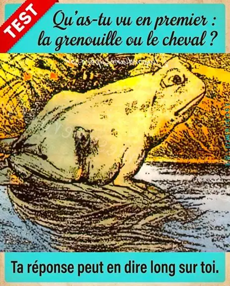 Test quavez vous vu en premier une grenouille ou un cheval votre reponse en dit long sur vous 2.jpg