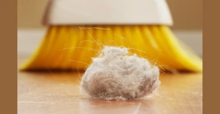 Une astuce de grand mere pour eliminer cheveux et poussiere de votre maison en 2 minutes.jpg